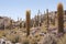 Incahuasi island, Uyuni Saline & x28;Salar de Uyuni& x29;, Aitiplano, Bolivia
