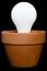 Incandescant bulb in a planter