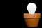 Incandescant bulb in a planter