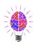 Incandescent lamp in the form of a person brain. The multi-colored human brain. Glow in different directions. Education