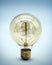 Incandescent lighted bulb with filament