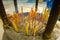 Incense area in Ngong Pin, Lantau Island for visitors to pray in Po Lin Monastery, Lantau Island in Hong Kong