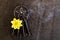 Incense burning in gray metal pentagram with love keyring on slate background with yellow dahlia flower