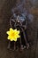 Incense burning in gray metal pentagram with love keyring on slate background with yellow dahlia flower