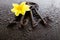 Incense burning in gray metal pentagram with love keyring on slate background with yellow dahlia flower