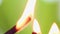 Incense smoke close-up. Match firing aroma stick. Tranquility and mindfulness.