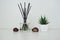Incense sticks are dipped into a glass cubic vessel with essential oils. Interior decor. White background. The smell of