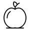 Inclusive education apple fruit icon, outline style
