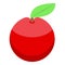 Inclusive education red apple icon, isometric style