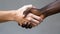 An inclusive image representing unity and friendship, with a handshake between individuals of