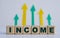 INCOME - word on wooden cubes on a light background with arrows up