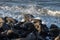 Incoming Ocean Waves Breaking Over Coastal Rocks