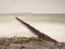 Incoming waves hitting vintage old wood at the coast. Long exposure