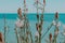 Incomparable beauty of flowers against the turquoise sea. Relaxing landscape for background.