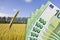 Increase in the cost of wheat - concept with European banknotes