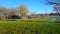 Increasing rising water level in nature with panning movement. Climate change result. Flooded park after storm in day.