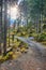 Incredible autumn view of Oeschinen valley. Scene of Swiss Alps