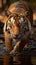 Incredible Bengal tiger blends harmoniously with the awe inspiring beauty of nature