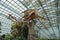 Incredible dragon sculpture made of pieces of wood in the greenhouse Gardens by the Bay, Singapore