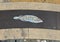 An incredible fish around the outside of a beautiful mosaic in Manarola, northern Italy.