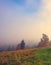 Incredible foggy autumn  scenery, scenic nature landscape, Carpathian mountains. Ukraine, Europe