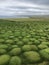 Incredible green fields of Downpatrick Head, north of picturesque Ballycastle village in Mayo