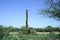 An incredible hugh and high termite mound in the Savanna in Ethiopia