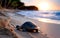 The Incredible Journey Turtles Embarking on a Coastal Adventure