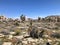 Incredible landscape photo of Joshua Tree National park