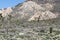 Incredible landscape photo of Joshua Tree National park