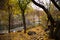 Incredible landscape. View from the shore on the river and rocks. The land is covered with beautiful leaves