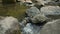 Incredible nature. Flowing clear water from a waterfall and large river stones