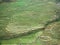 Incredible rice field in the Sa Pa / Lao Cai mounties region in North Vietnam, water buffalo working in the field