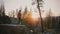 Incredible shot of young male journalist enjoying wild forest, taking photos of epic sunset at Yosemite park slow motion