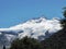 Incredible snowy mountain surrounded by trees and forest in Argentina.