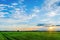 Incredible stunning sunset with a colorful sky against the background of green vegetation of wild nature