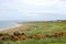 An incredible view of a golf hole in Scotland with the ocean in the background in Dornoch