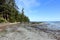 An incredible view of the sandy beaches of nels bight and experimental bight, surrounded by forest and the pacific ocean