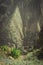 Incredible view of the steep mountain and path to green ravine. Huge agave plants in foreground in warm sunrays light