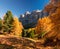 Incredible view of yellow larches illuminated by the rising sun. Alta Badia, Dolomite Alps, Italy