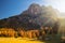 Incredible view of yellow trees illuminated by the rising sun. Alta Badia, Dolomite Alps, Italy