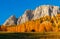 Incredible view of yellow trees illuminated by the rising sun. Alta Badia, Dolomite Alps, Italy