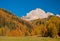 Incredible view of yellow trees illuminated by the rising sun. Val Gardena, Dolomite Alps, Italy