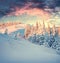 Incredible winter sunrise in Carpathian mountains with snow cove