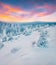 Incredible winter sunset in mountain forest with snow covered fir trees. Colorful outdoor scene, Happy New Year celebration