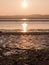 Incredibly Beautiful Shots of the River Beds in Wivenhoe Essex a