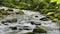 Incredibly picturesque landscape of the Black Forest mountains. Small mountain river flows through stones around stones