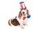 Independence Day Basset Hound