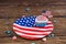 Independence day cupcake on patriotic plate