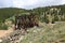 Independence Ghost Town, Colorado